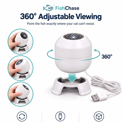 FIshChase - Light Projector